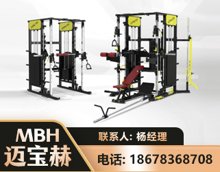 甘孜多功能综合训练器