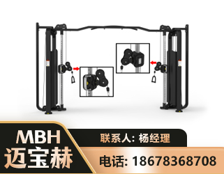 甘孜大飞鸟训练器