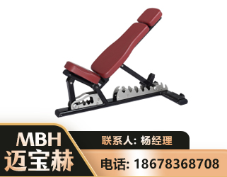 甘孜可调哑铃椅
